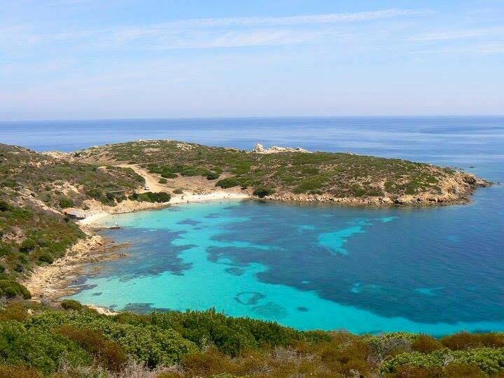 La bellezza del mare dell'Asinara 