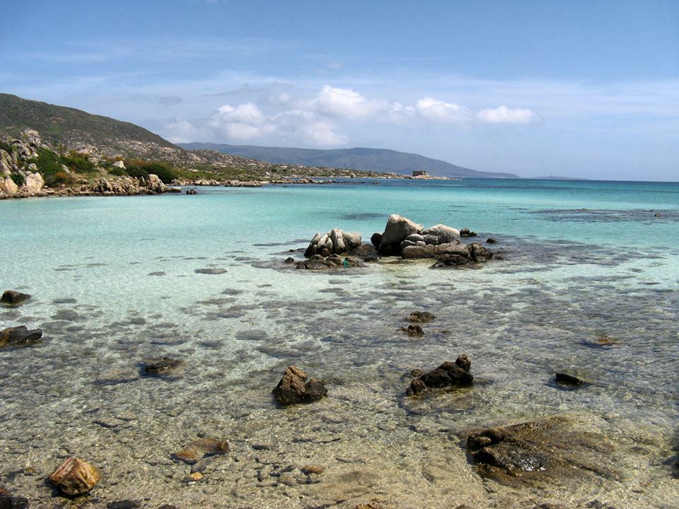 Mare dell'Asinara 