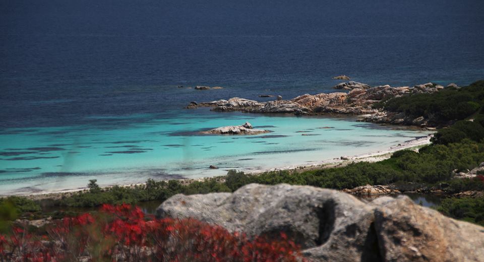 Cala Sant'Andrea, Asinara, Sardegna