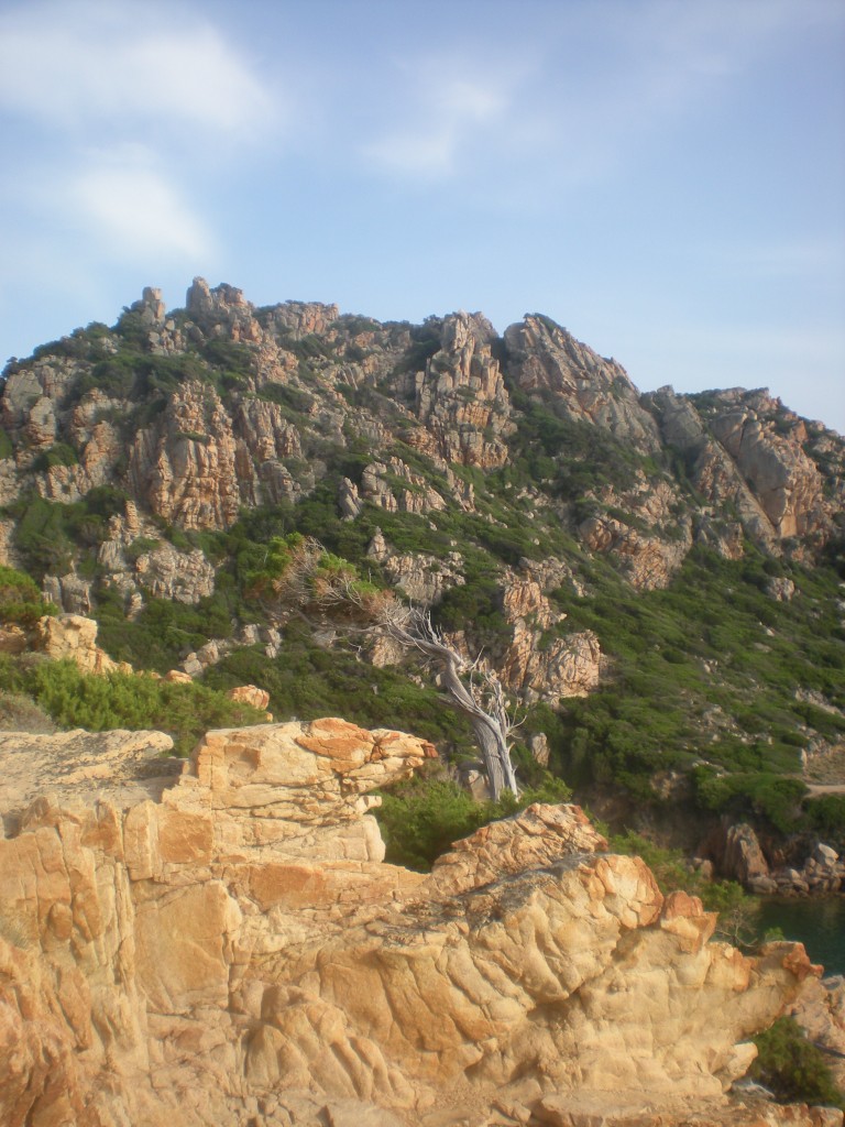 DSCN4183