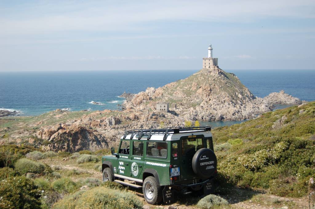 Escursioni e emozioni in Sardegna 