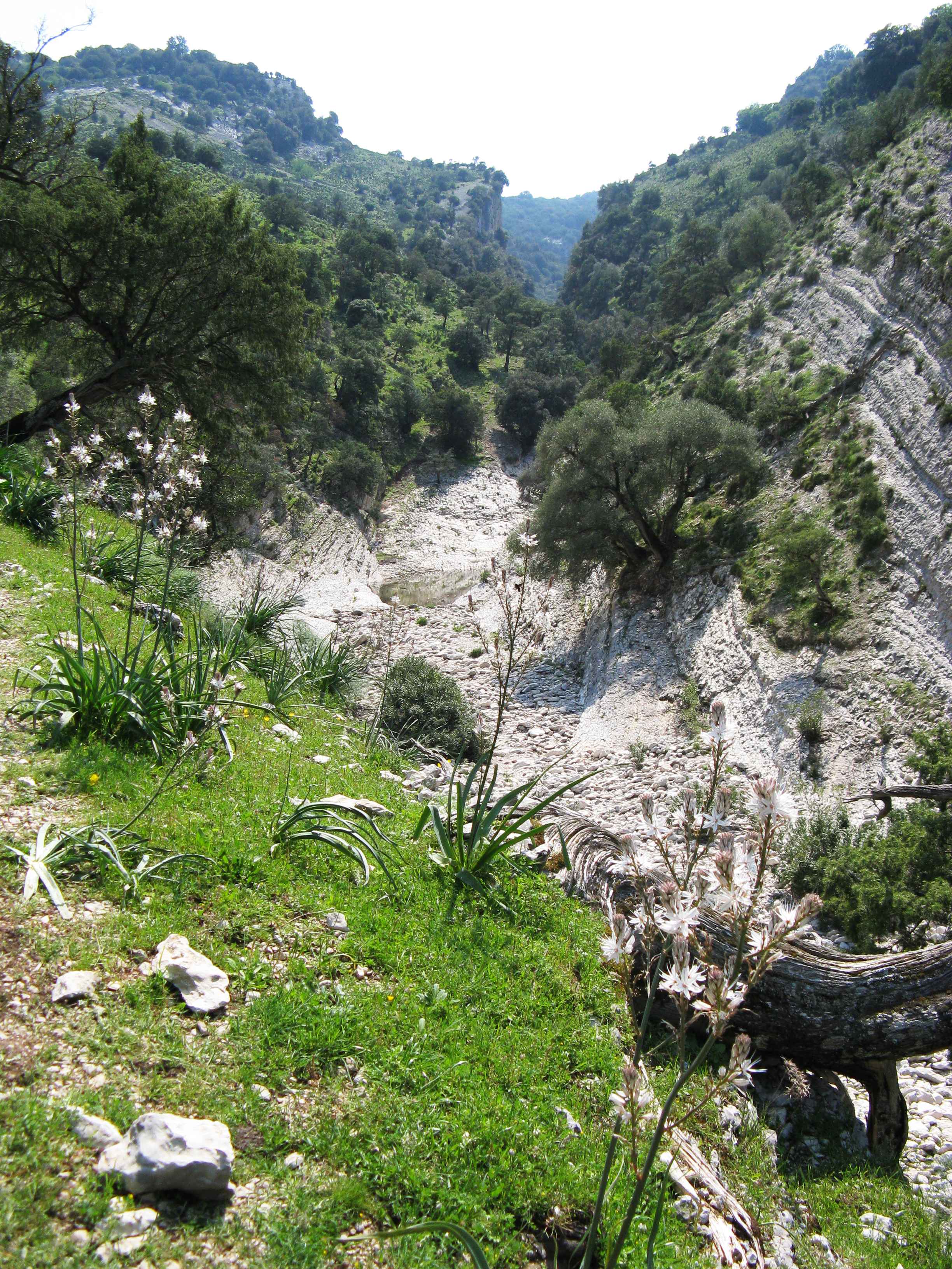 Trekking Ogliastra 