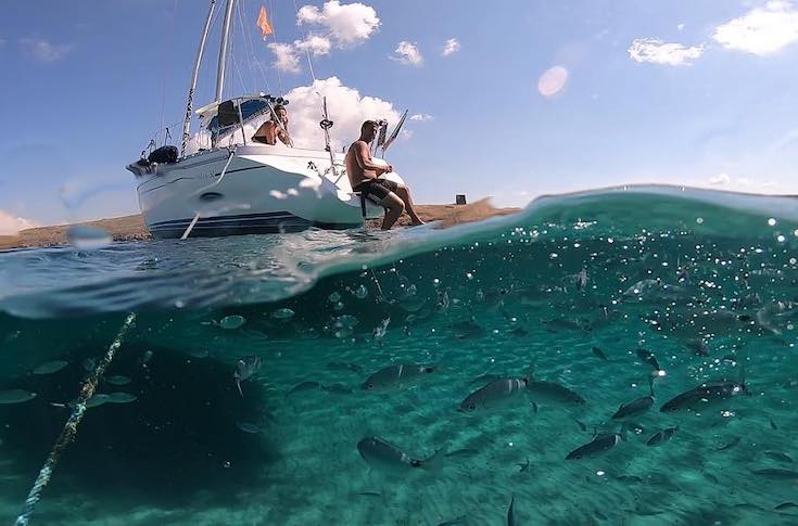 gita in barca a vela parco nazionale asinara - Villa Rental Sardinia