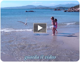 Video Spiagge della Sardegna