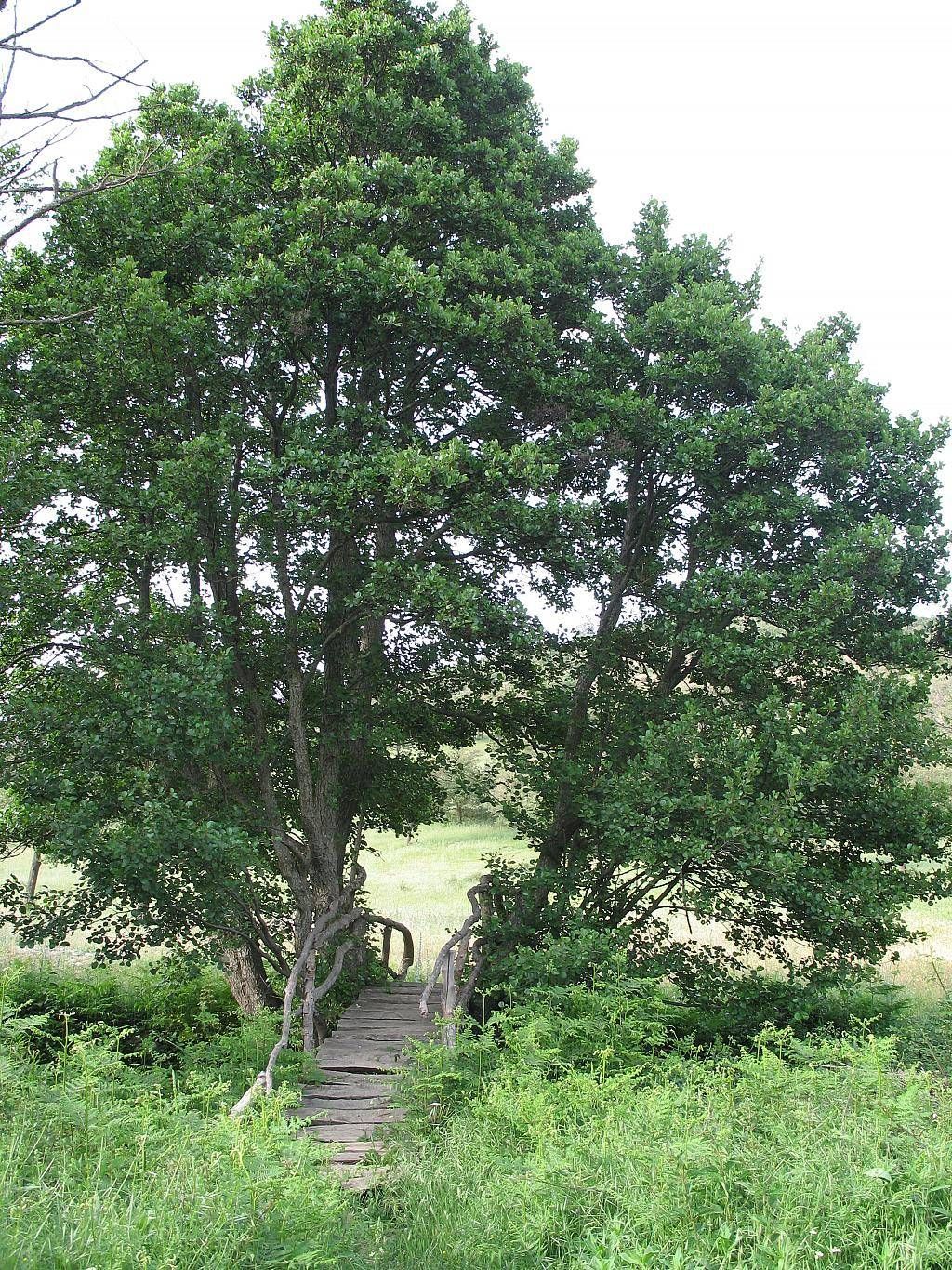 Guida Vacanze della Sardegna