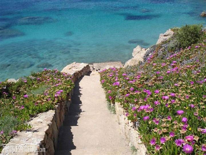 Guida vacanze Baja Sardinia