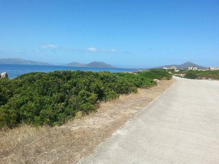 Guida vacanze Asinara